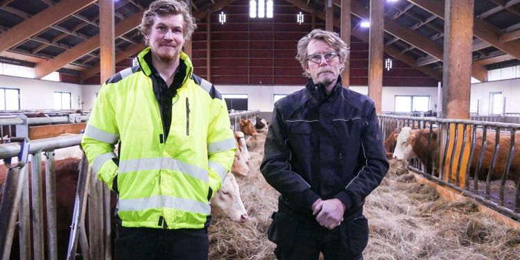 97 kor brann inne – så byggde de upp stallet igen