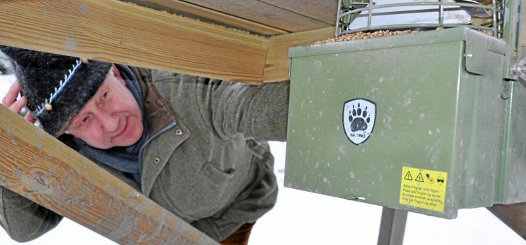 Knepen som håller vildsvinen på en rimlig nivå