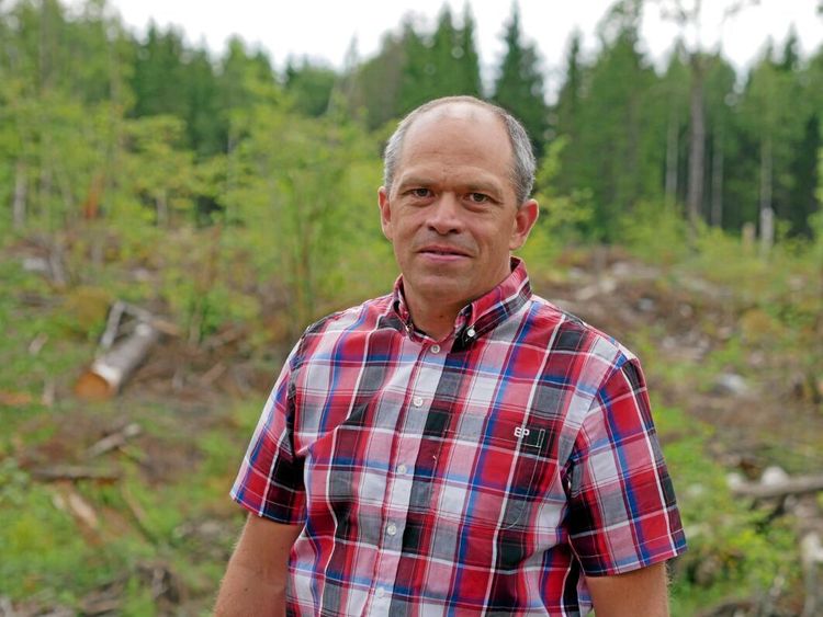 Får rätt om avverkning efter rapport om ugglor