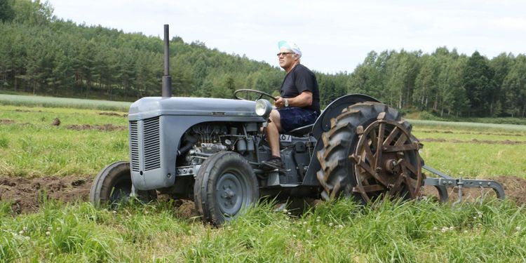 MF-frossa: Spana in läsarnas underbara bilder