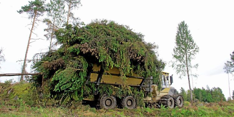 Så räknar du ut om groten blir lönsam
