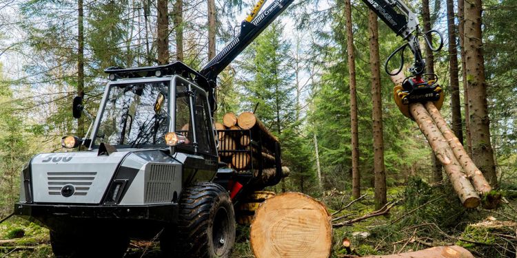 Små skotare allt svalare