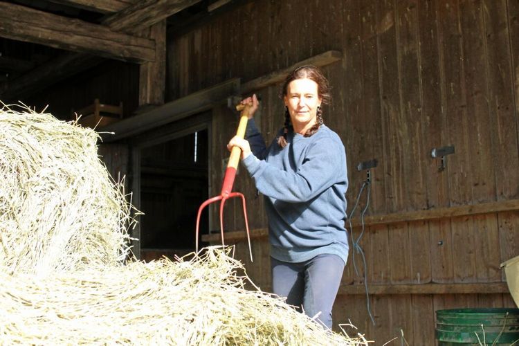 Bra grovfoderskörd i år – ”En stor lättnad”