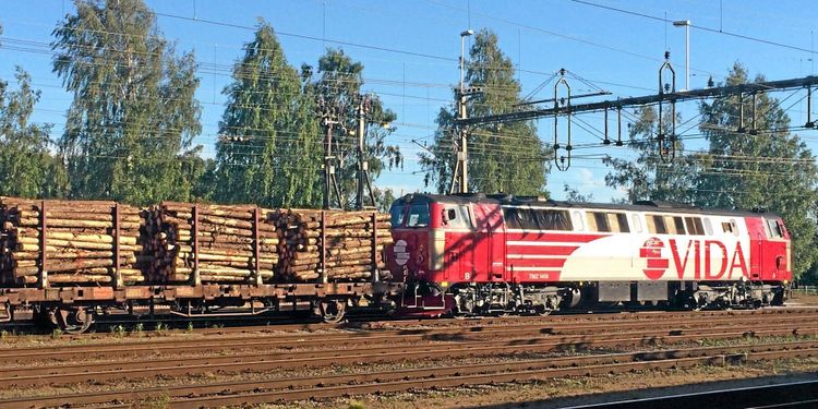 Canfors VD: ”Vida ger råvara och kvalitet”