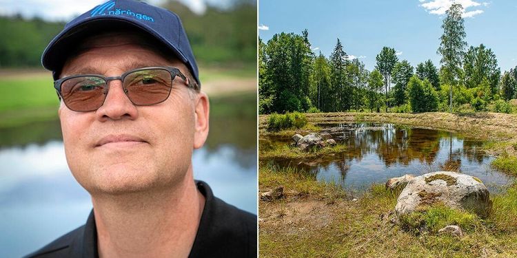 Miljökonsulten: ”Det är katastrofalt”