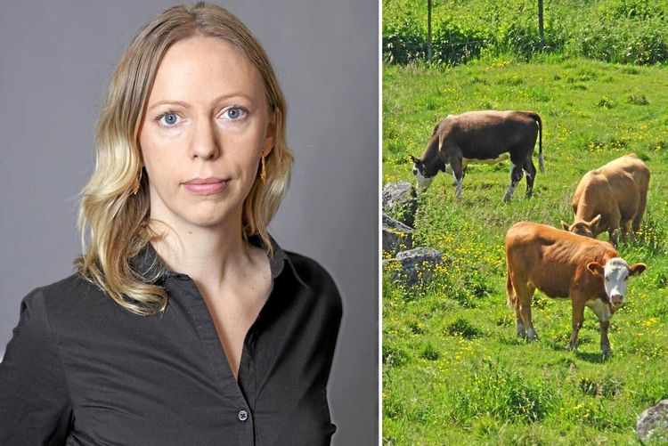 LRF: Globala studier ofta irrelevanta för Sverige