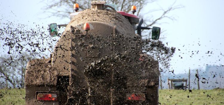 En stinkande handel på alla plan