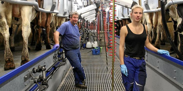 Rationellt fiskbensstall ersatte mjölkrobotar