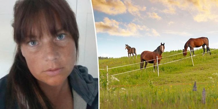 Massiv kritik mot utredning om hästgödsel