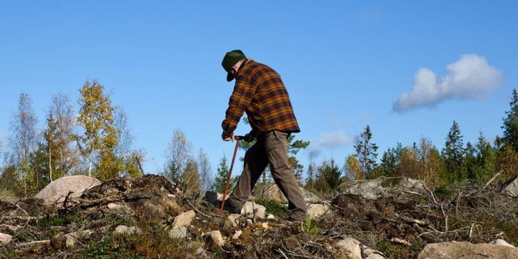 Ukraina stoppar utresor för skogsarbetare