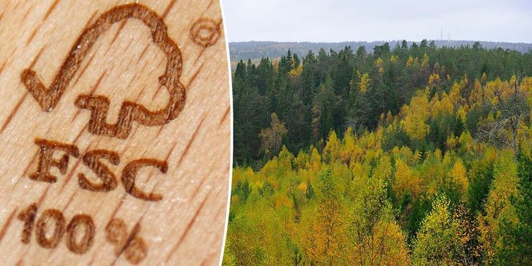 Nya krav kan få skogsägare att hoppa av FSC