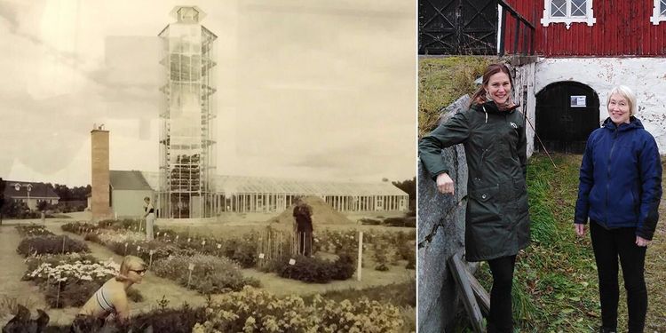 Pionjärförsök i Öjebyn gör avtryck än i dag