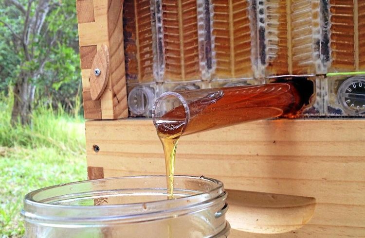 Bikuporna blir uppkopplade