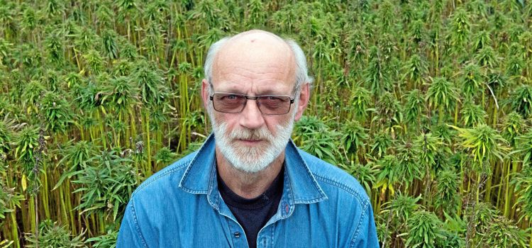 ”Myndigheterna motarbetar hampan”