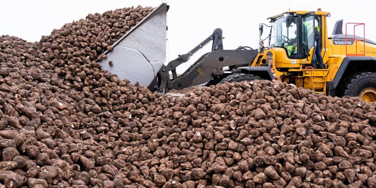 Nya problem på sockerbruket i Örtofta