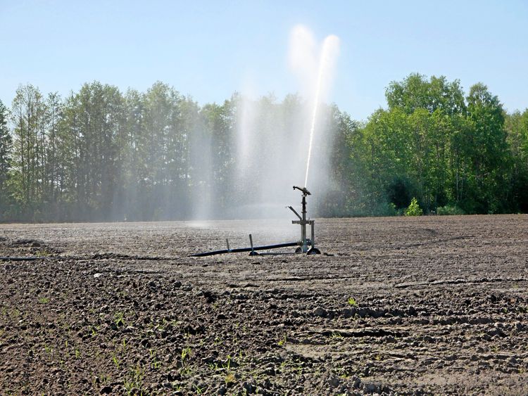 Bild på bevattning.