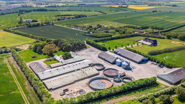 Bild på grisgård tagen från luften.