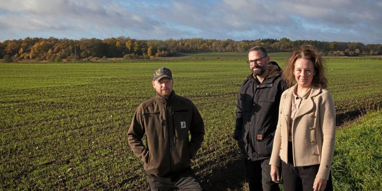 Framtidstro med ekoodling: ”Vinst i prisökningen”