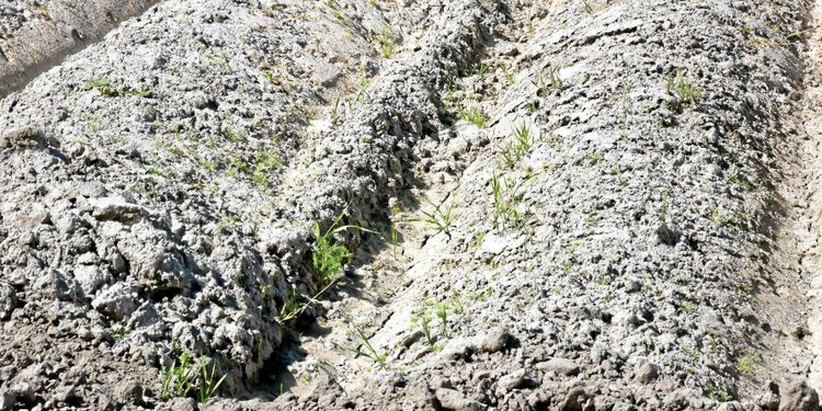 M: Sänk dieselskatten med en krona