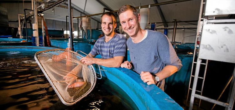 Fiskar efter nya affärer