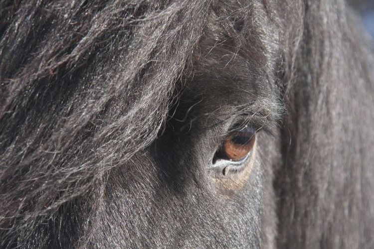 Fick rätt mot kommun och länsstyrelse