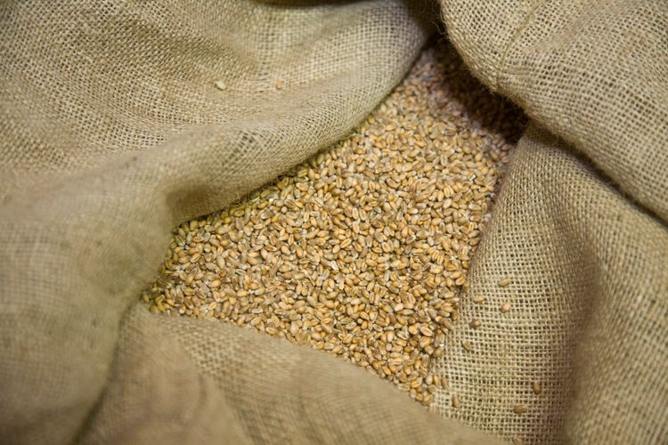 Uppsving för vetepriset