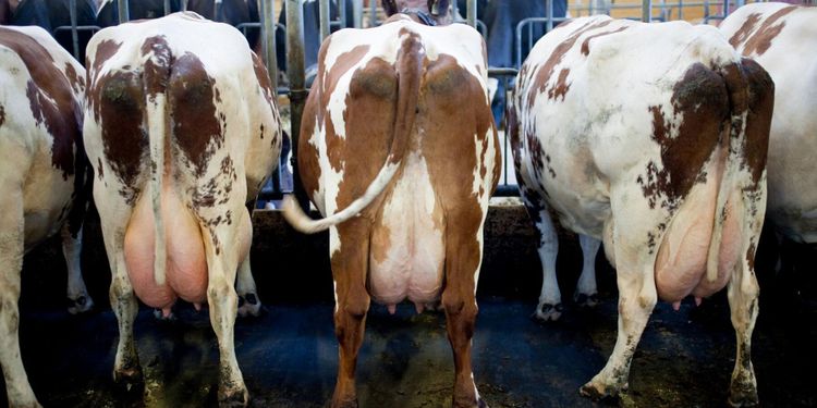 Regelbunden provtagning ska stoppa farlig bakterie