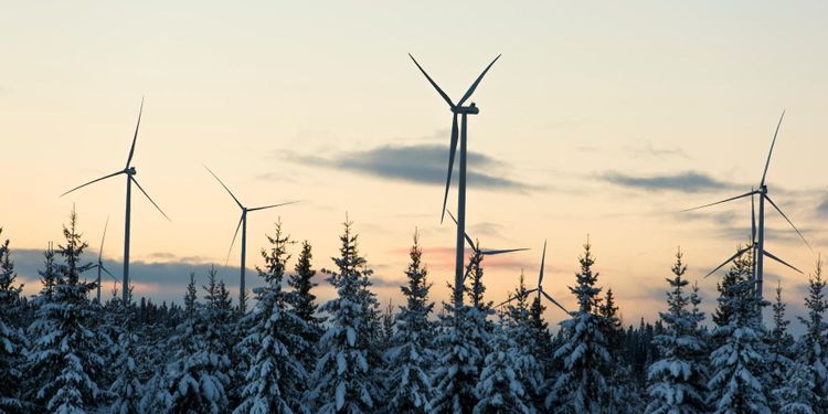 ”Vindkraft är inte den nya gröna vågen”