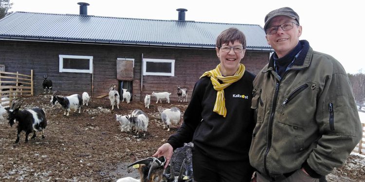 De vågade satsa på norrländsk getost