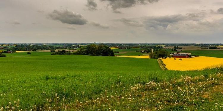 Nej till ny utbildning i Eslöv