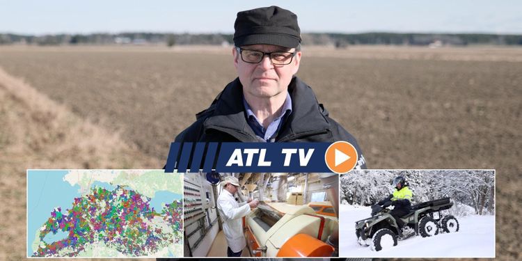 ATL TV: Kvarnen importerar egna vetesorter