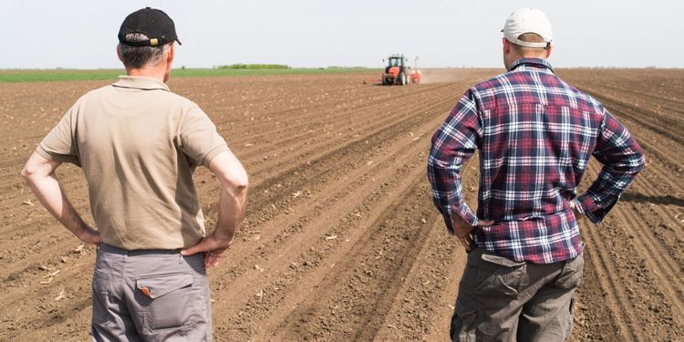 LRF: Problem om kvinnor avskräcks från lantbruk