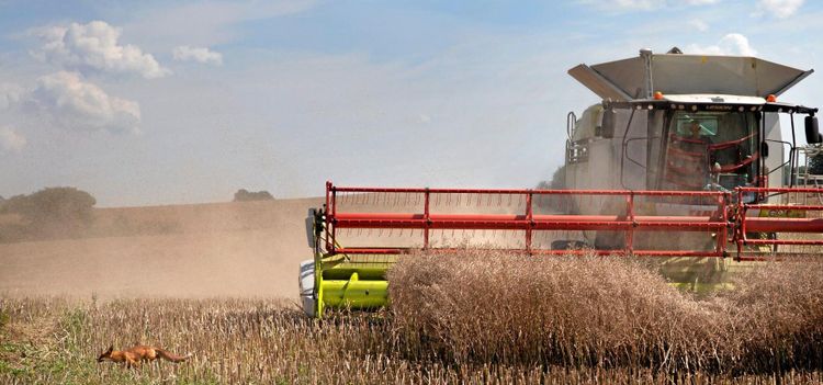 Markpriserna har sexfaldigats
