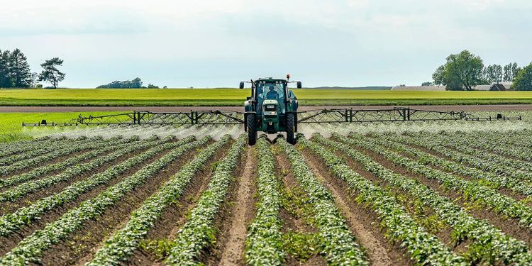 ”Vi måste ha verklig självförsörjning”