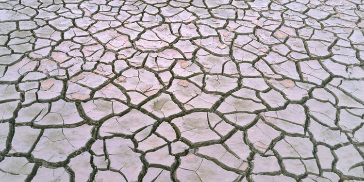 ”Jag saknar bevis för klimatförändringarna”