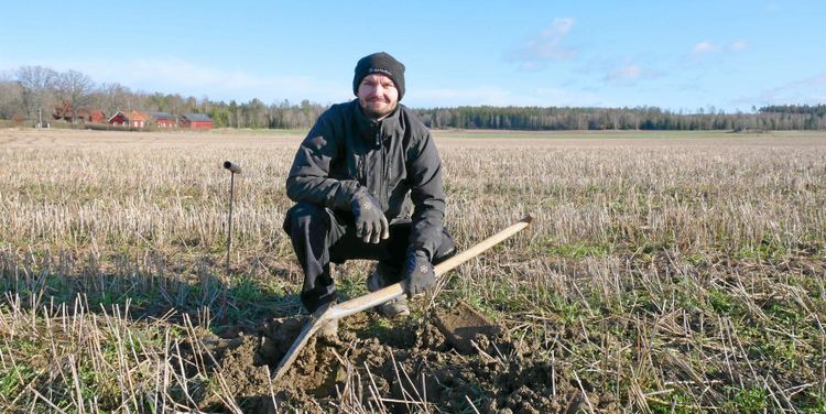 Gåsfötter och mellangrödor ska knäcka ogräset