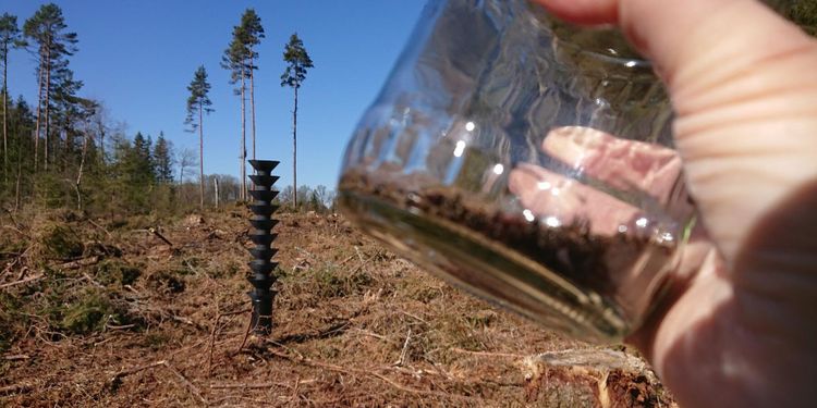 Start för årets barkborresäsong