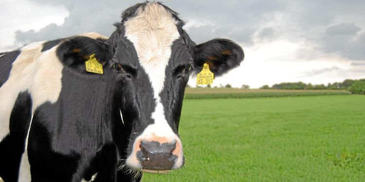 Krav på ursprungsmärkt mjölk döms ut