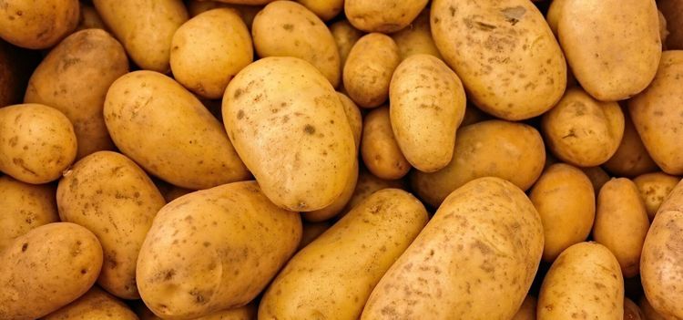 Europa svämmar över av potatis