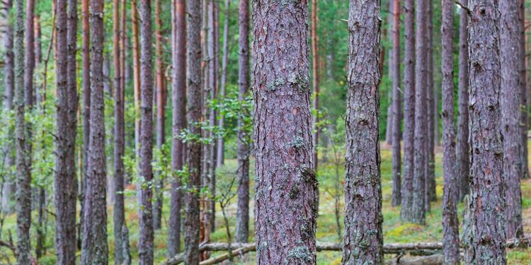 Replik: Jag värnar den akademiska friheten