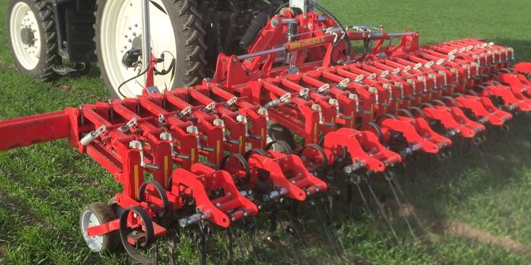 Halva växtskyddsmängden – hela skörden