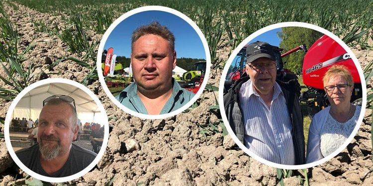 Brunnbybesökarna om torkan