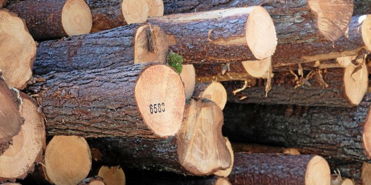 Fortsatt sjunkande virkespriser