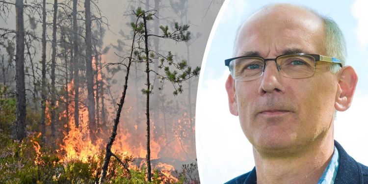 ”Satsa på entreprenörerna i brandbekämpningen”