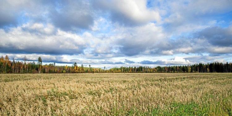 Ny lösning plockar bort molnen från satellitbilderna
