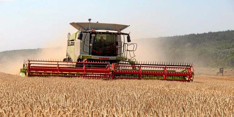 Rusning för att prissäkra spannmål