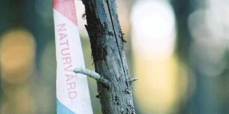 2-1 i överklagan av nyckelbiotoper