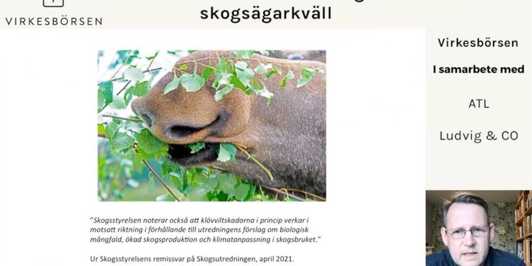 Säljläge för både timmer och fastigheter