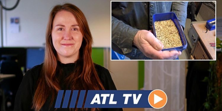 ATL TV: Hett med havre