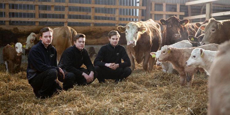 De har 200 nötdjur – och går i skolan